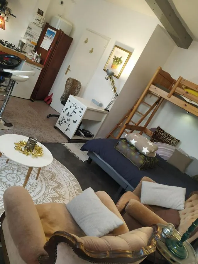 Apartment Chaleureux Studio Independant Encausse-les-Thermes France